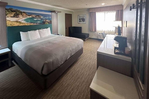 Quality Inn & Suites Los Angeles Airport - LAX image 11