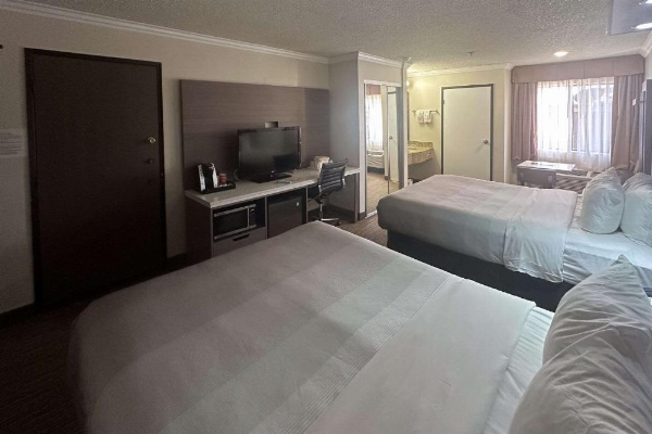 Quality Inn & Suites Los Angeles Airport - LAX image 15